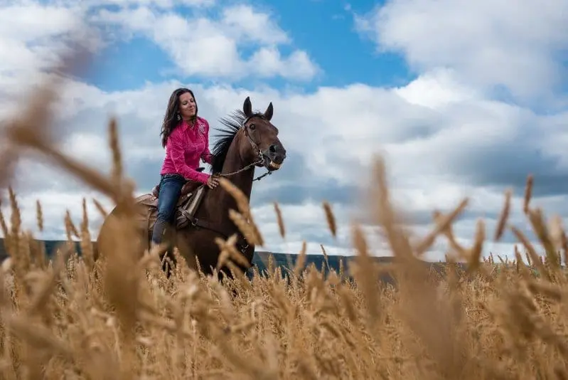 Featured image for “Horseback Riding”