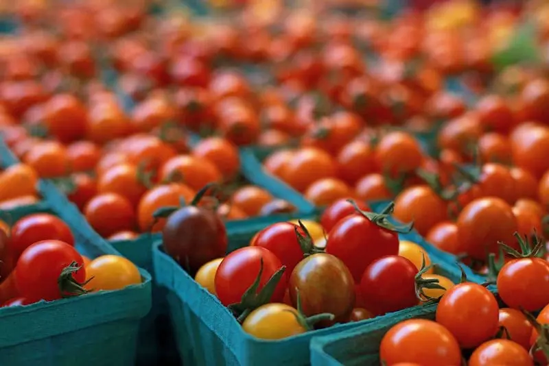 Featured image for “Farmer’s Markets”