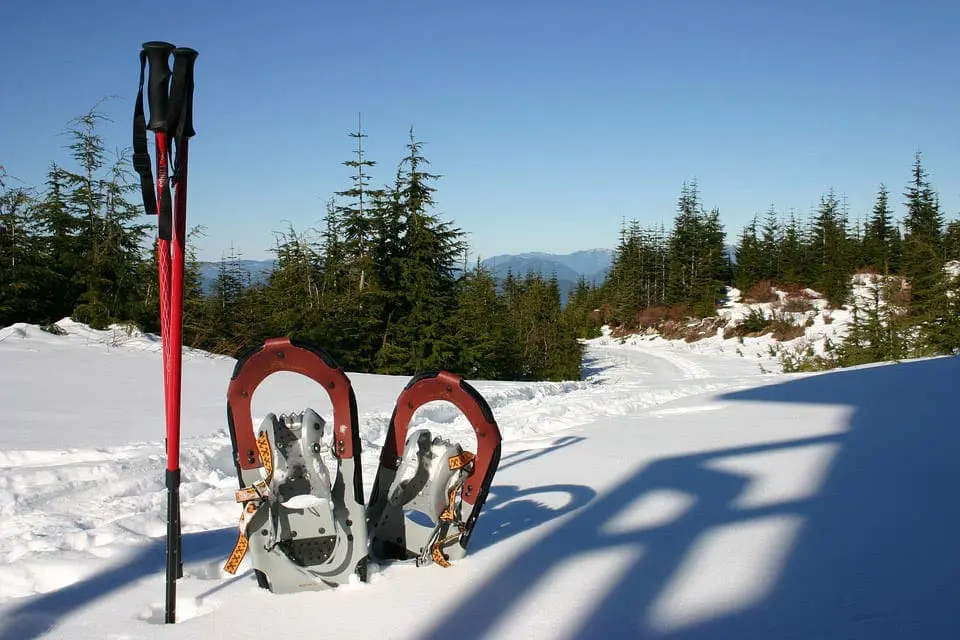 Featured image for “Snowshoeing”