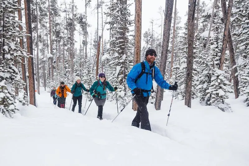 Featured image for “Cross-Country Skiing”