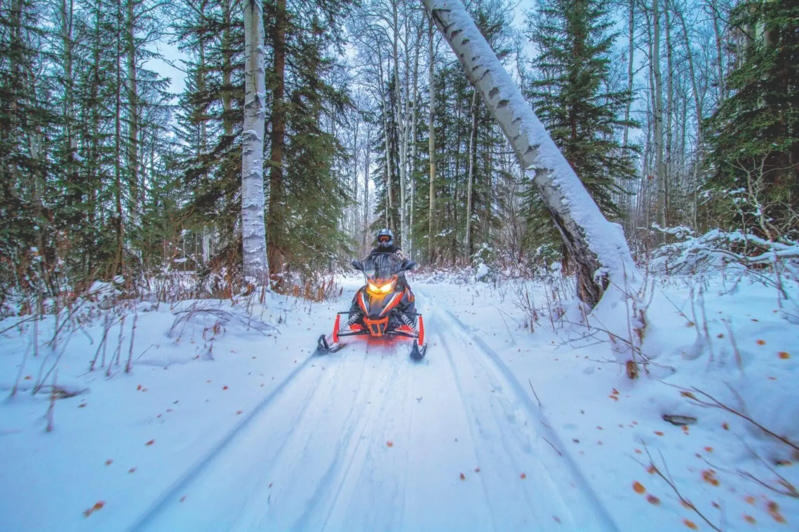 Featured image for “Get Off the Couch and Enjoy Winter on Local Snowmobile Trails”