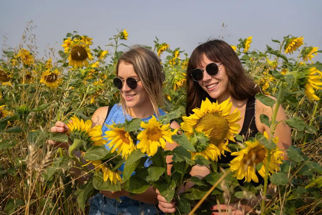Featured image for “Unique Summer Experiences in the Mighty Peace”