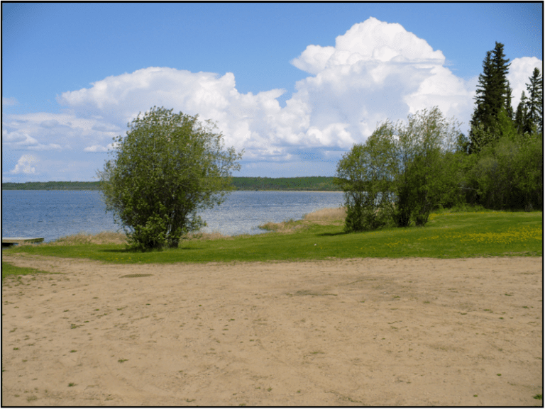 Leddy Lake - Mighty Peace