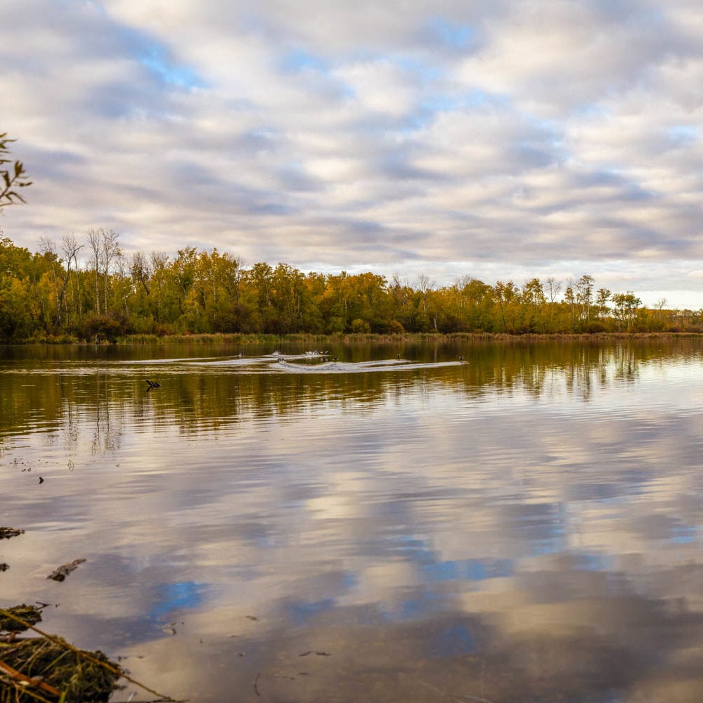 Hines Creek Mighty Peace