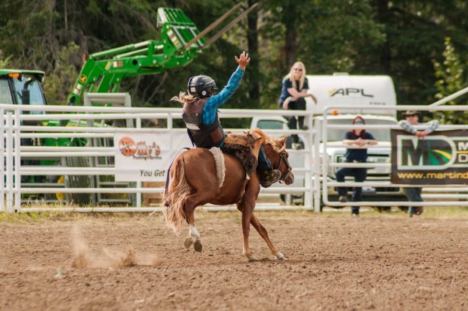 Harmon Valley Amateur Rodeo bronco