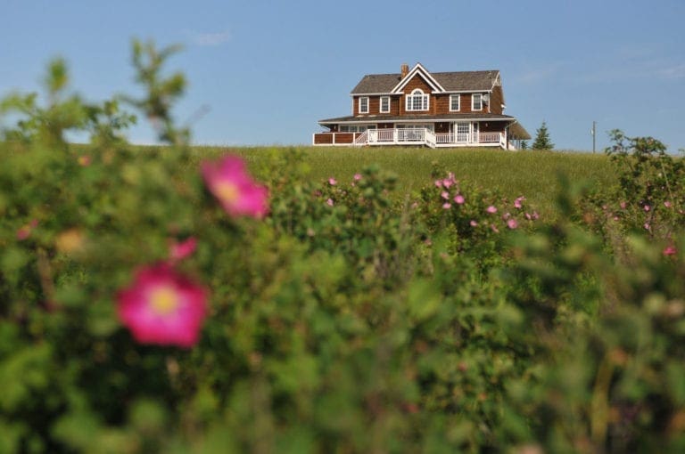 WIld Rose Guest House 768x510