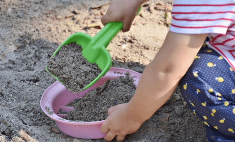 Sand Box 768x465