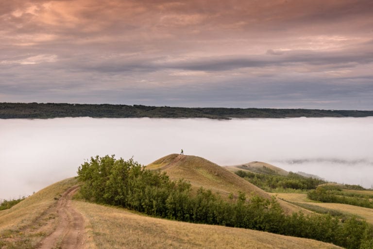 JBartlett July2015 MightyPeace 160 768x513