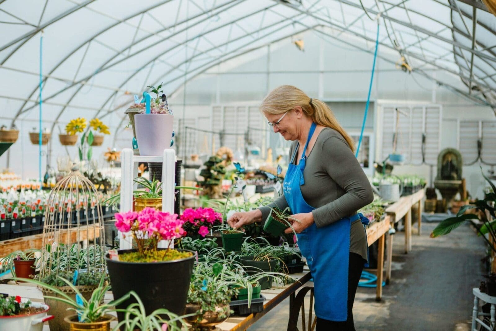 Featured image for “Q & A With Amicis Gardens”