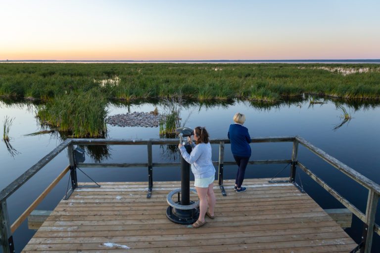 Kimiwan Lake Bird Walk McLennan 1 1 768x512