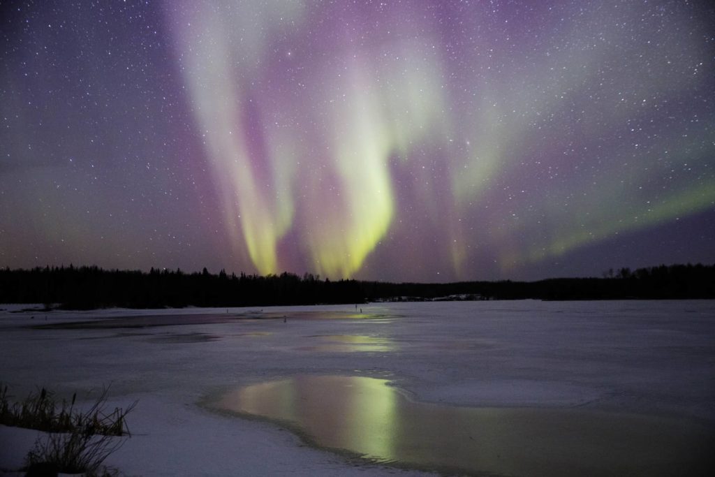 Northern Lights Fairview LoriDay