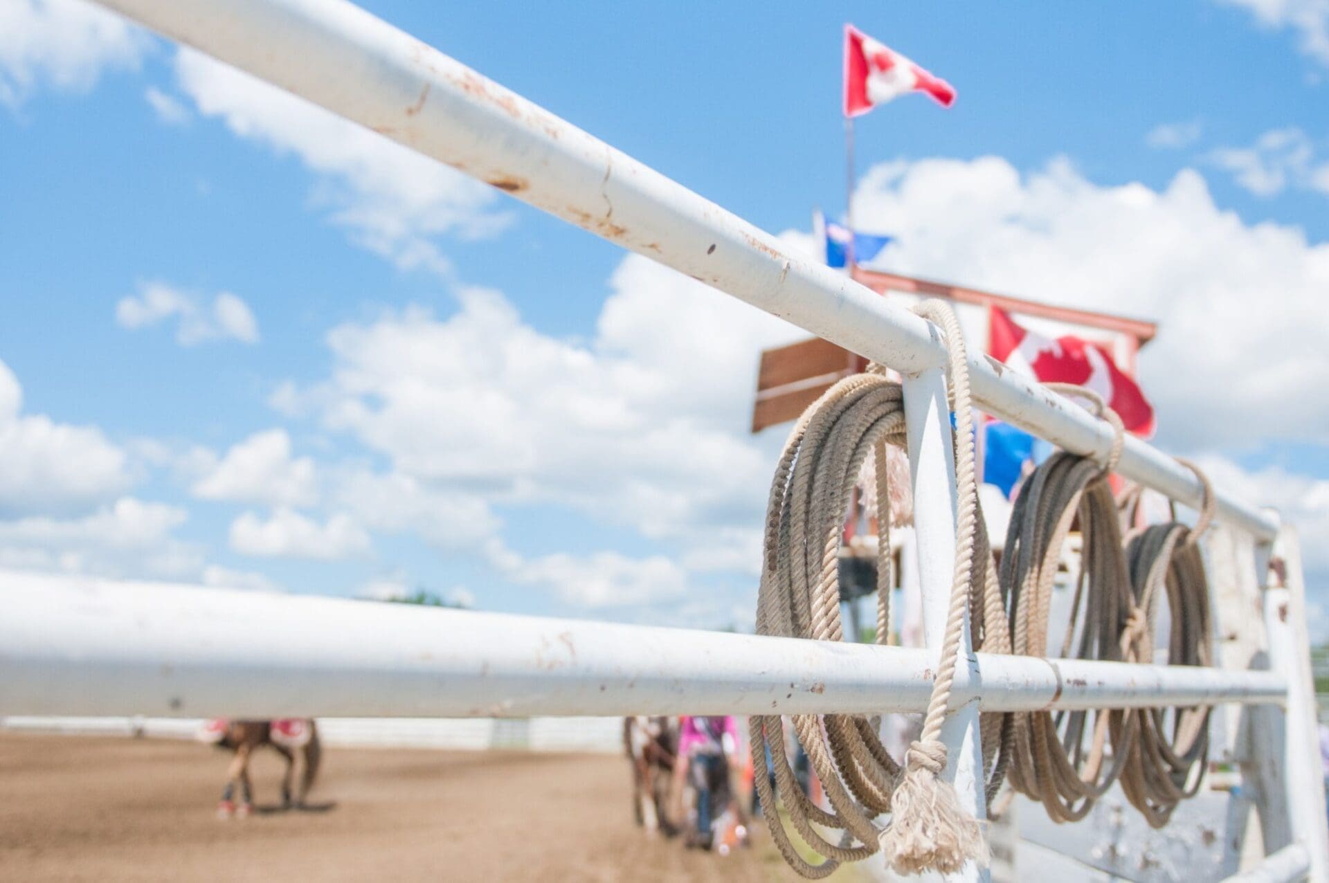 Waterhole Rodeo Mighty Peace Tourism