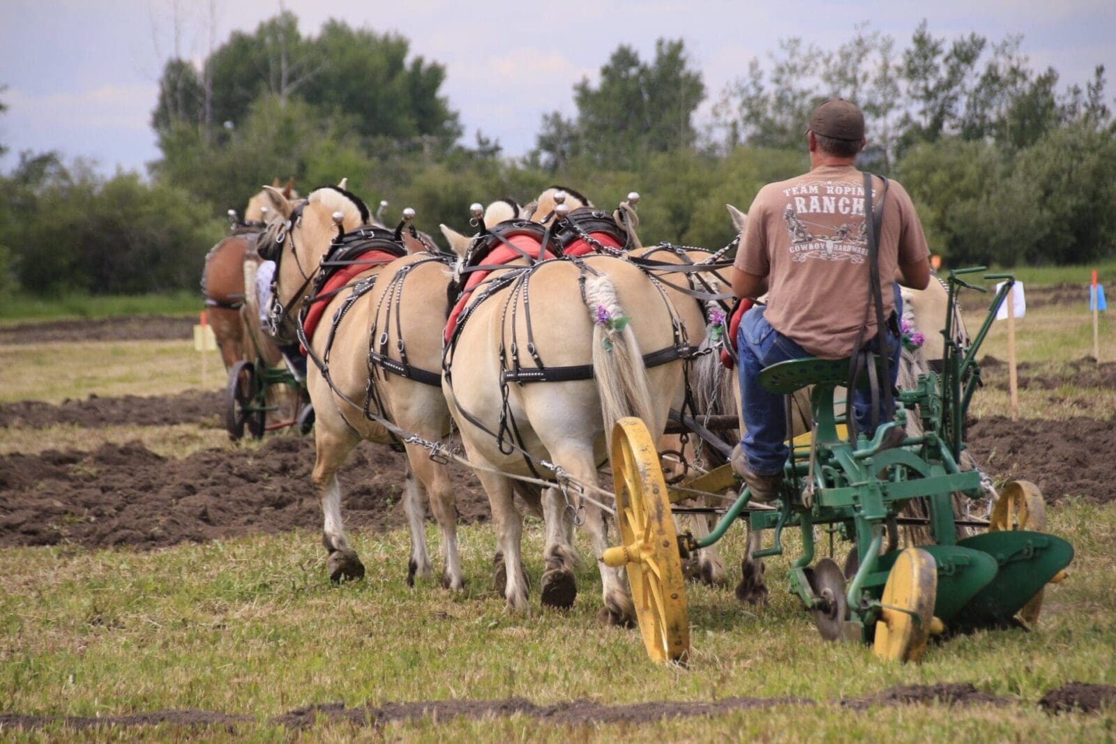 Featured image for “Wanham Plowing Match”