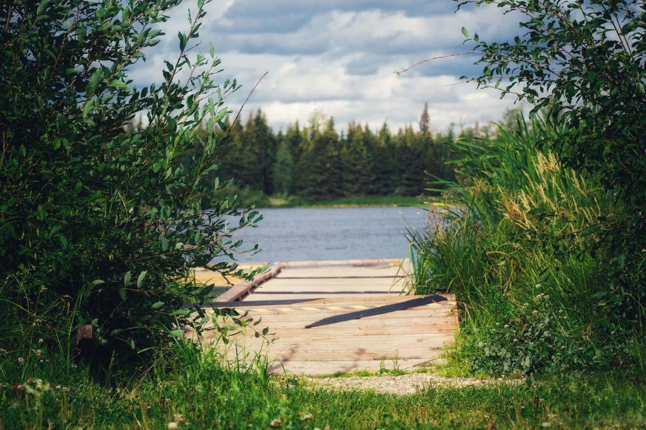 Moonshine Lake Trails