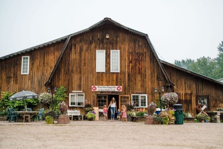 Dunvegan Market Gardens Store Front Summer 768x512