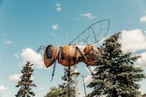 World's Largest Bee - Mighty Peace Tourism