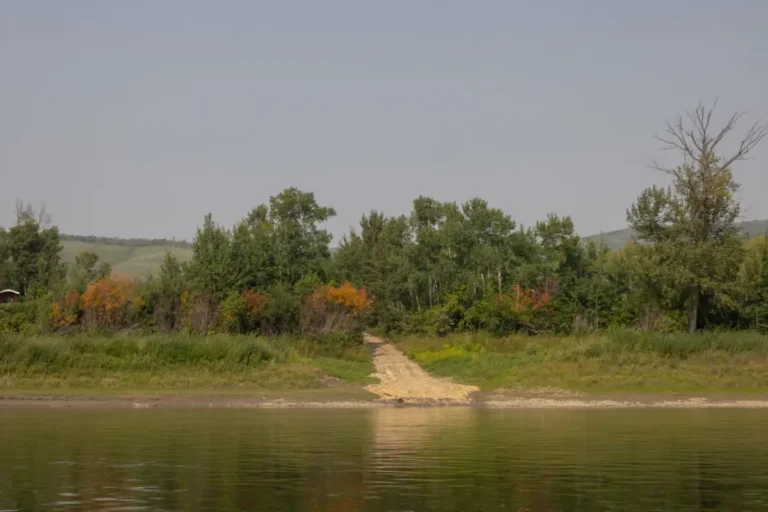 Beer Belly Flats MD of Peace 768x512