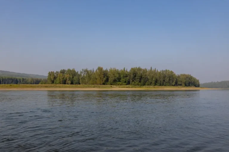 Camp Island MD of Peace 768x512