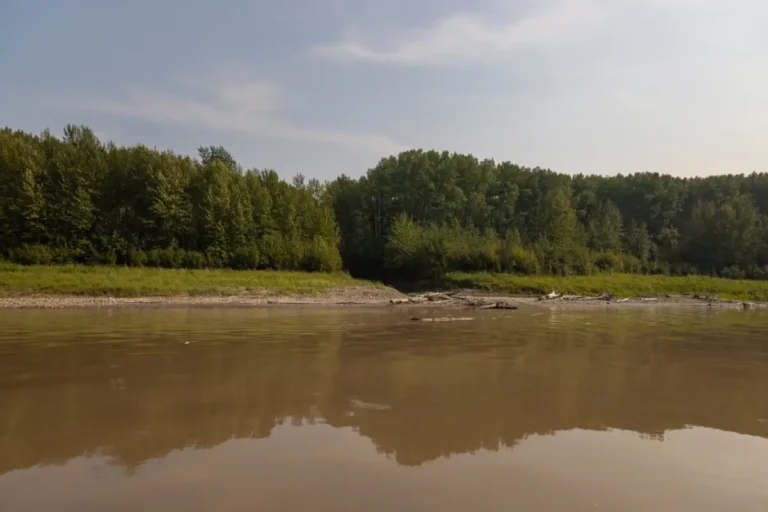 Carmon Creek Northern Sunrise County 768x512