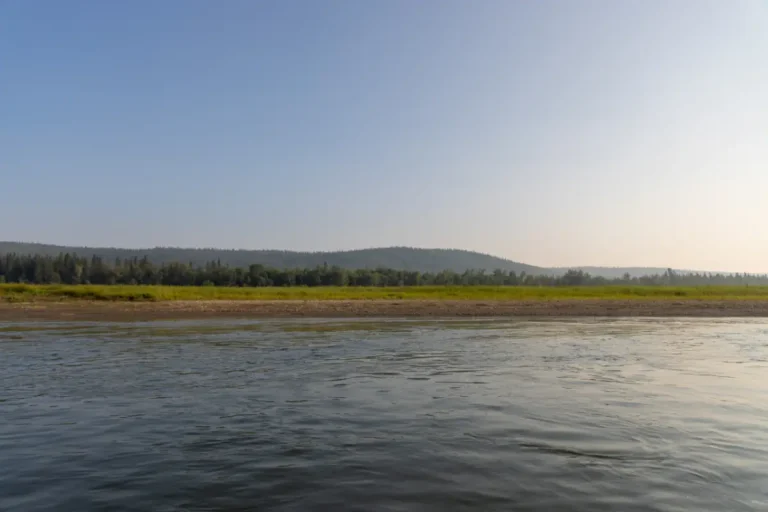 Elk Island Park MD of Peace 768x512