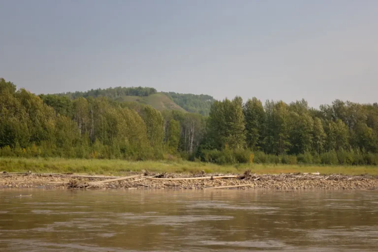 Graham Cree Northern Sunrise County 768x512