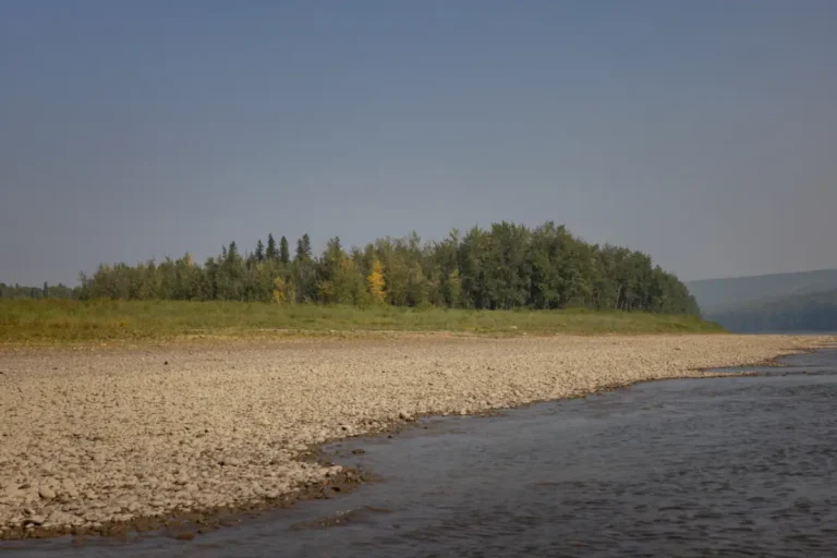 Green Island MD of Fairview 768x512