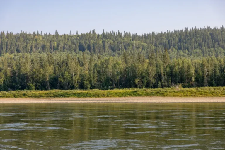 Kieyho Park Birch Hills County 768x512