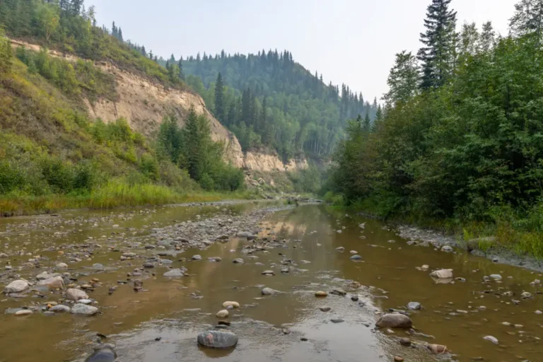 MPTARiverGuidePaulLavoie Hamelin5 768x512