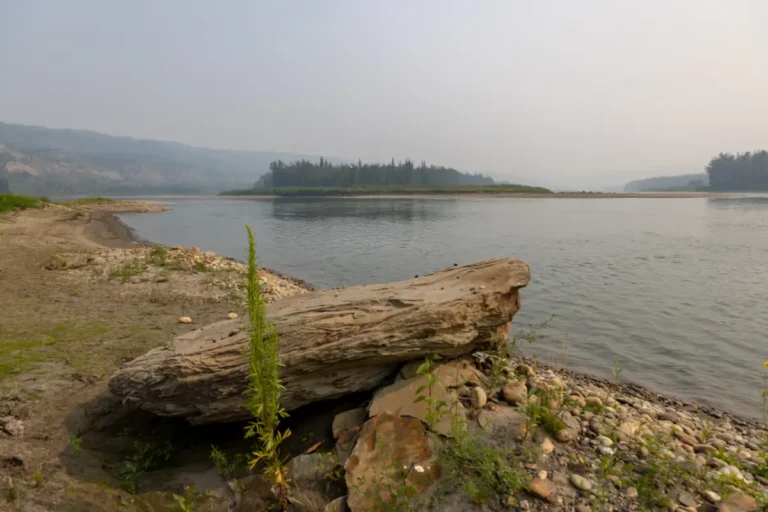 Montagneuse Island Clear Hills County 768x512