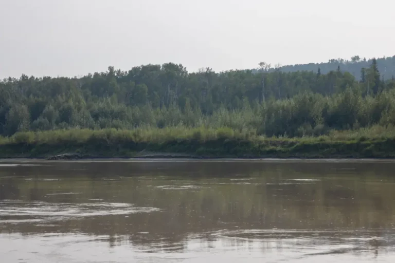 Old Salty Northern Sunrise County 768x512