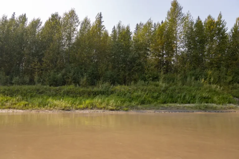 RiverGuideDay3PaulLavoieImages TarIsland 768x512