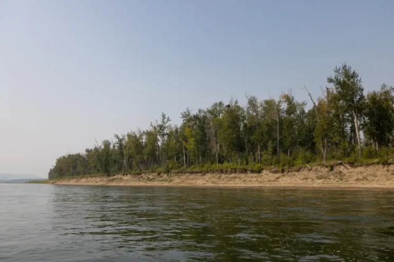 RiverGuideDay4FinalsPaulLavoieImages EaglesNest 768x512