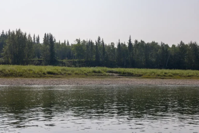 Tangent Park Birch Hills County 768x512