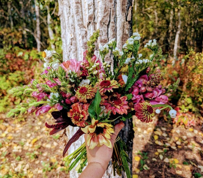Linden Fall Flowers 768x673