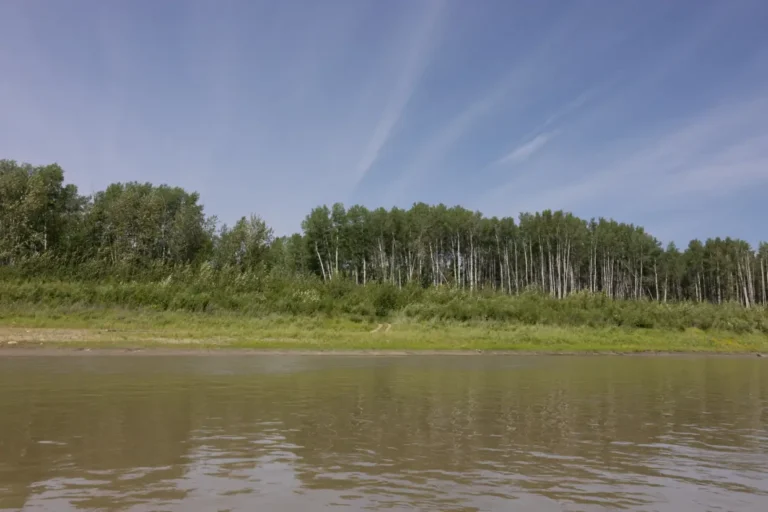 KM366McCrakkenFlatsBoatLaunchGuidePeacePaulLavoieImages 768x512