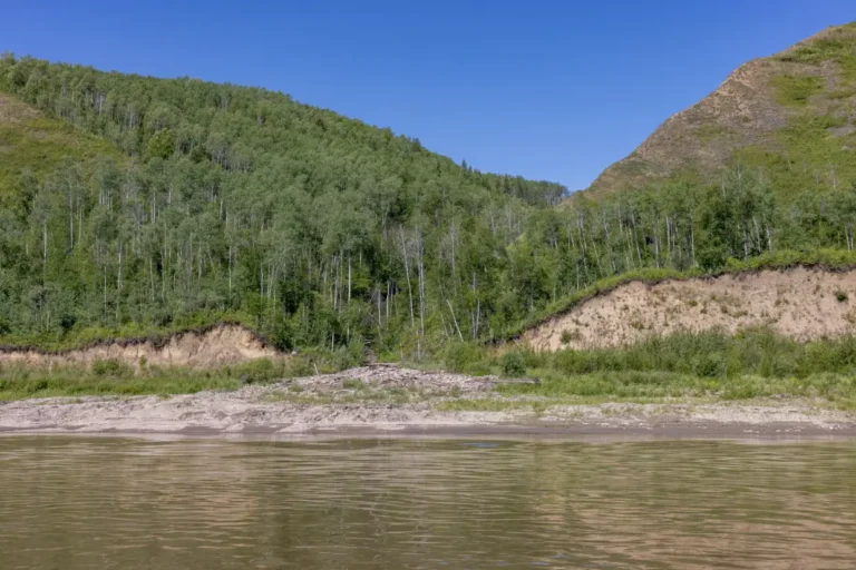 KM421RavineandCampingGuidePeacePaulLavoieImages 768x512