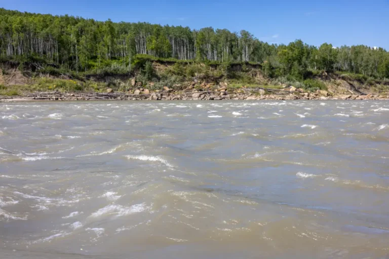 KM43 5th Rapids Smoky River Guide 2 768x512