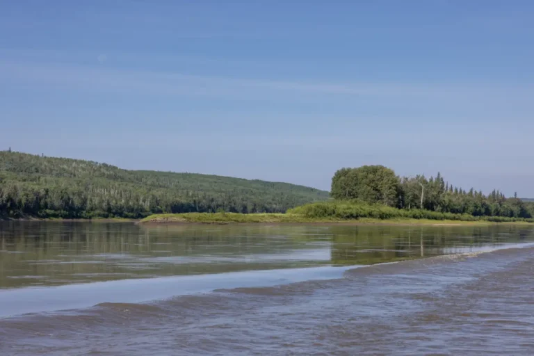 KM461BigIslandRiverGuidePeacePaulLavoieImages 768x512