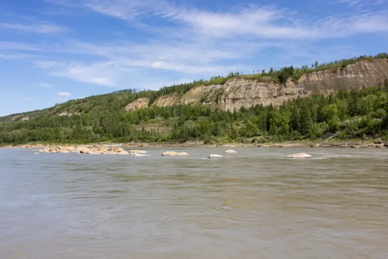 KM54 Rcok Gardens Smoky River Guide 768x512