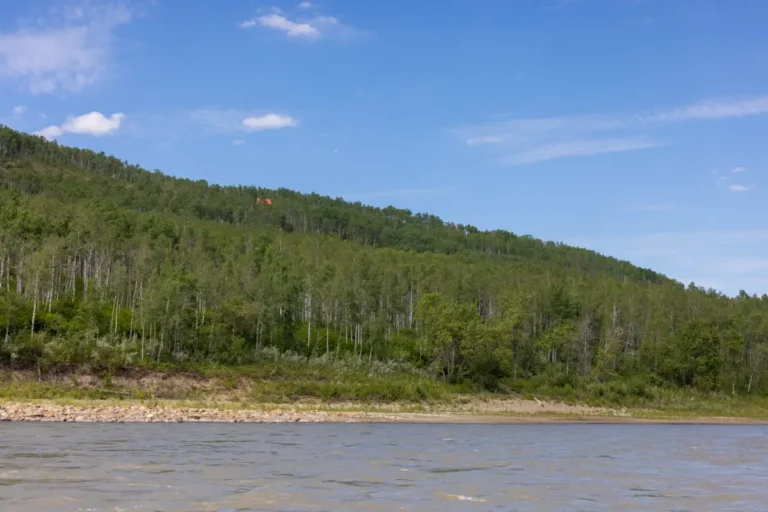 KM55.8 Cabin Smoky River Guide 3 768x512