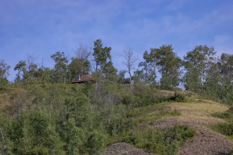 KM55.8 Cabin Smoky River Guide 768x512