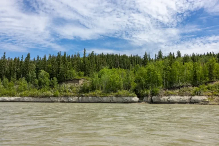 KM67 Sand Stone Smoky River Guide 1 768x512