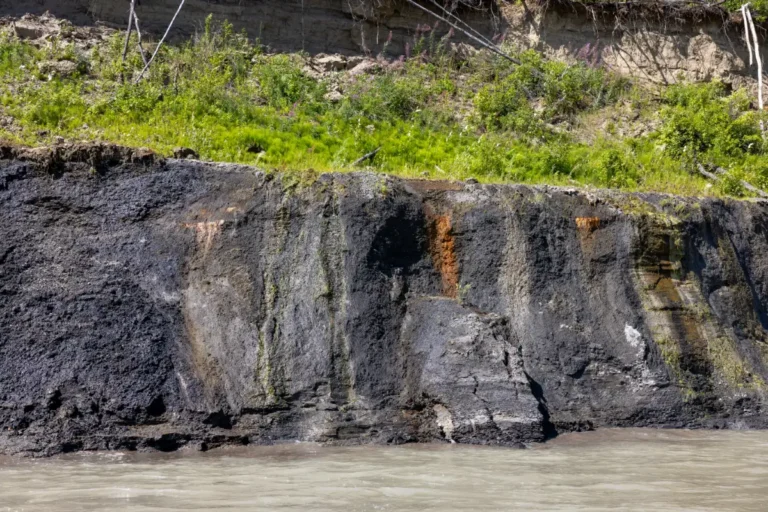 KM84 Natural Spring Smoky River Guide 2 768x512