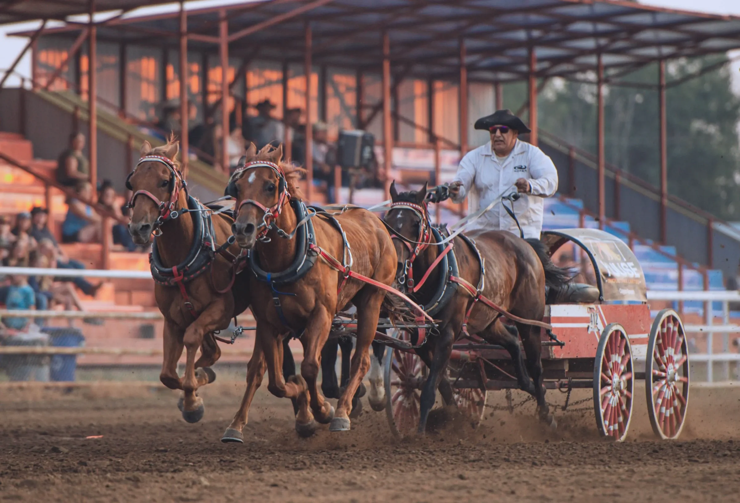 Featured image for “Battle River Rodeo”